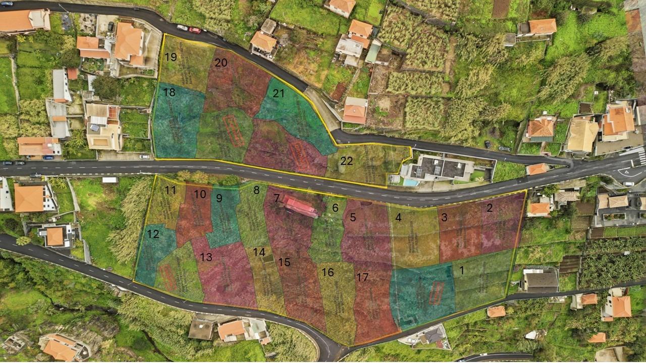 Conjunto de 22 Lotes para Investimento | Campanário, Ribeira Brava