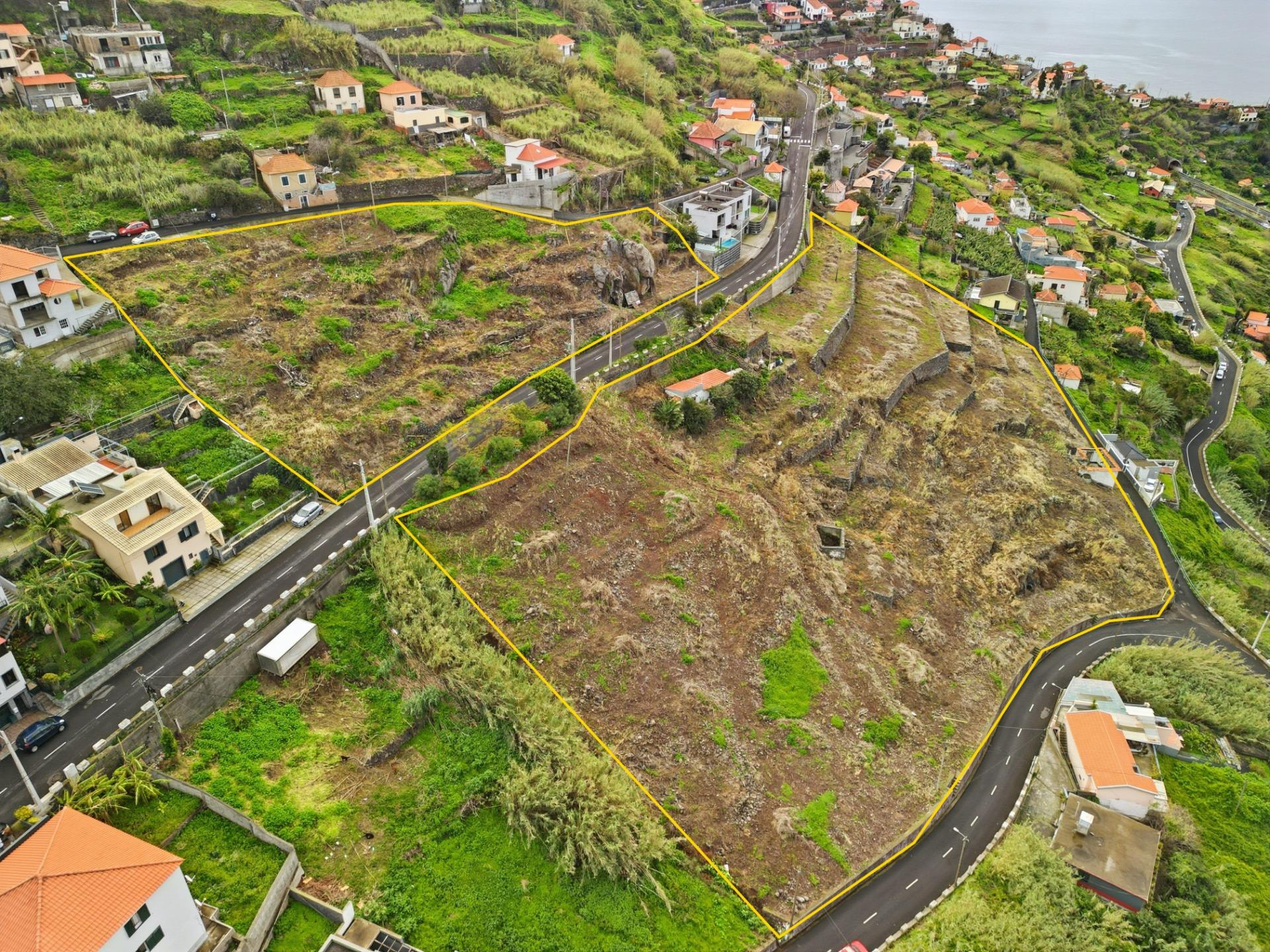 Conjunto de 22 Lotes para Investimento | Campanário, Ribeira Brava