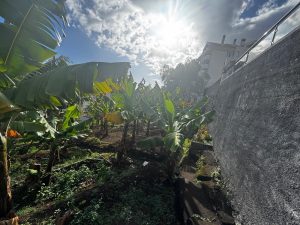Terreno Rustico