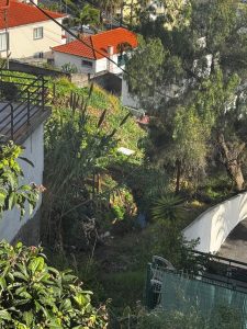 Terreno Rustico