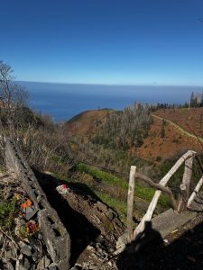 Terreno– Fajã de Ovelha | Caminho da Lombada dos Marinheiros