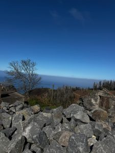 Terreno– Fajã de Ovelha | Caminho da Lombada dos Marinheiros