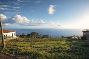 Luxury villas in Calheta