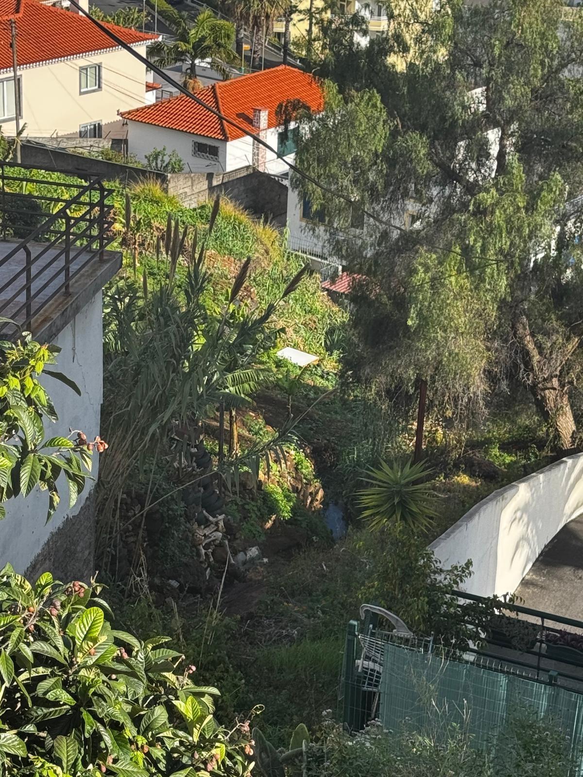 Terreno Rustico